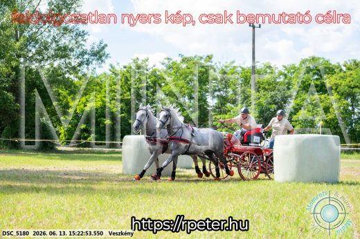 Mintakép 20260613-243