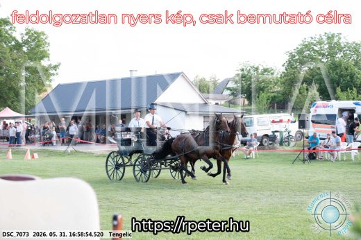 Mintakép 20260531-271