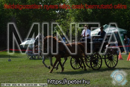 Mintakép 20260531-285