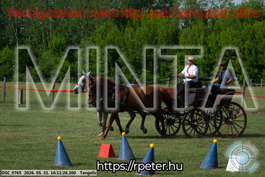Mintakép 20260531-292