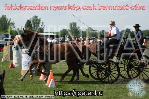 Mintakép 20260531-294
