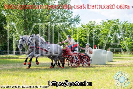 Mintakép 20260613-246