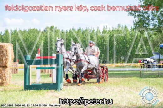 Mintakép 20260613-247