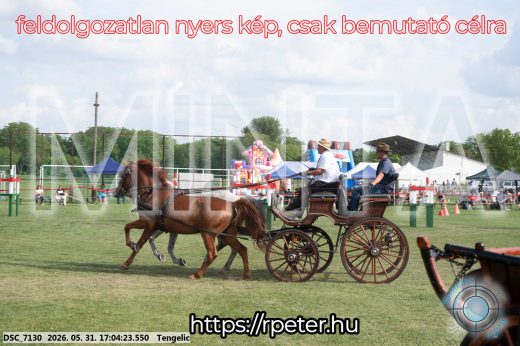 Mintakép 20260531-314
