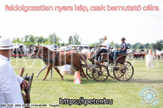 Mintakép 20260531-318