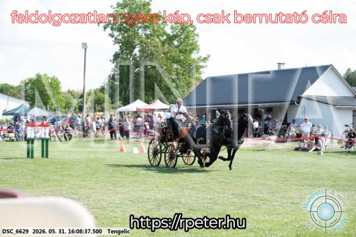 Mintakép 20260531-342
