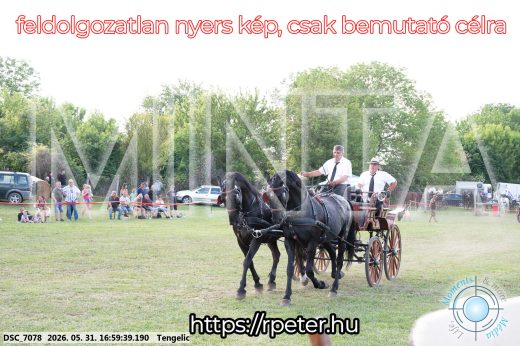 Mintakép 20260531-349