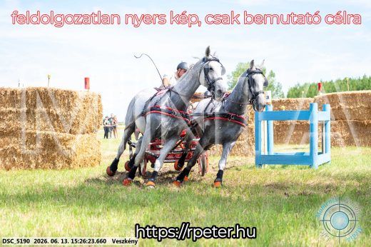 Mintakép 20260613-251