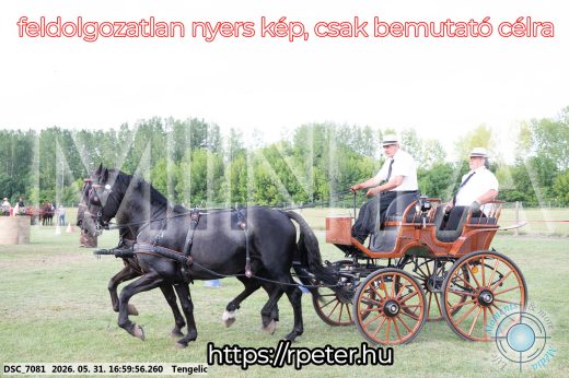 Mintakép 20260531-352