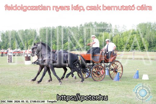 Mintakép 20260531-357