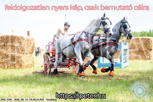 Mintakép 20260613-252