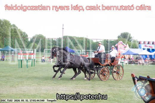 Mintakép 20260531-369