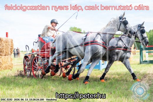 Mintakép 20260613-253