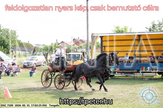 Mintakép 20260531-372