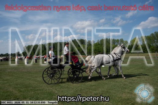 20260531-161233-DSC_6651.jpg