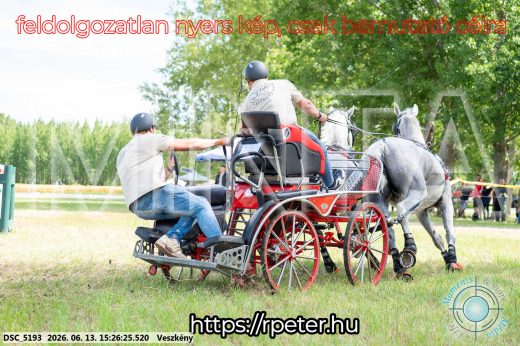 Mintakép 20260613-254