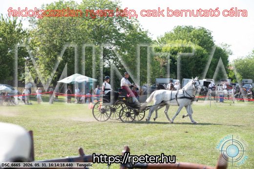 Mintakép 20260531-387