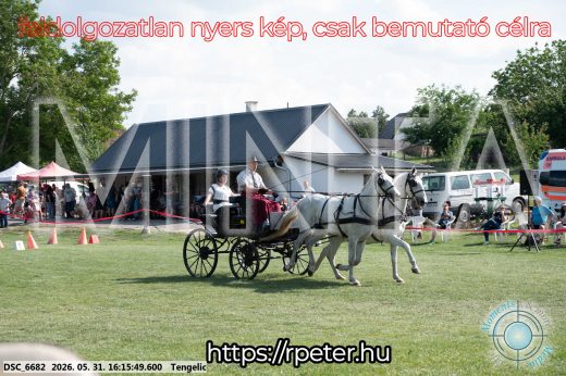 Mintakép 20260531-403