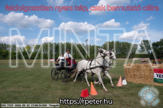 Mintakép 20260531-419