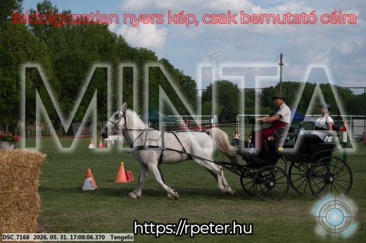 Mintakép 20260531-431