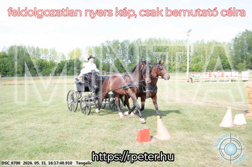 Mintakép 20260531-445