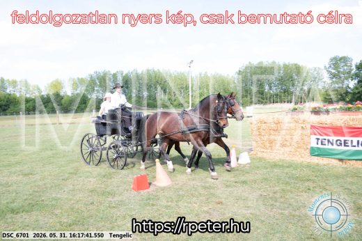 Mintakép 20260531-446