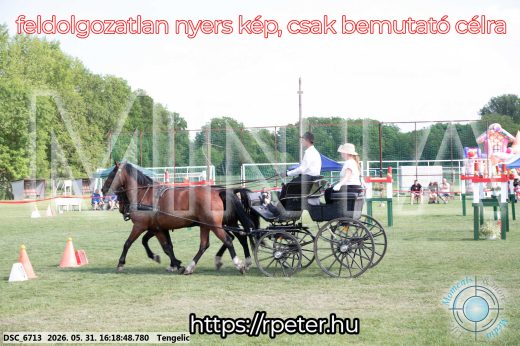 Mintakép 20260531-454
