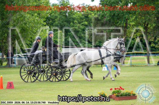 Mintakép 20260614-40