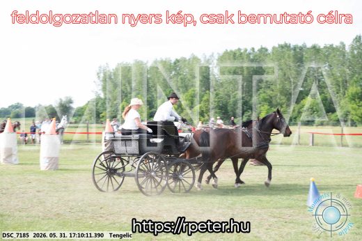 Mintakép 20260531-463