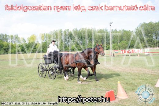 Mintakép 20260531-465