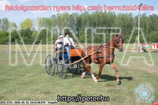 Mintakép 20260531-485