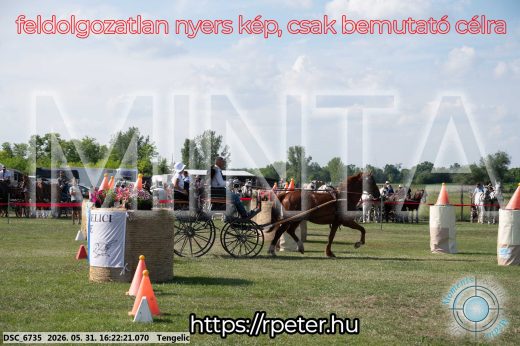 Mintakép 20260531-489