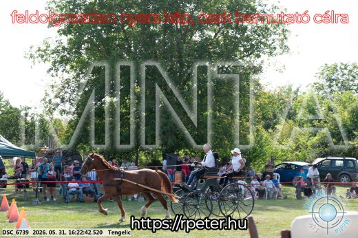 Mintakép 20260531-492