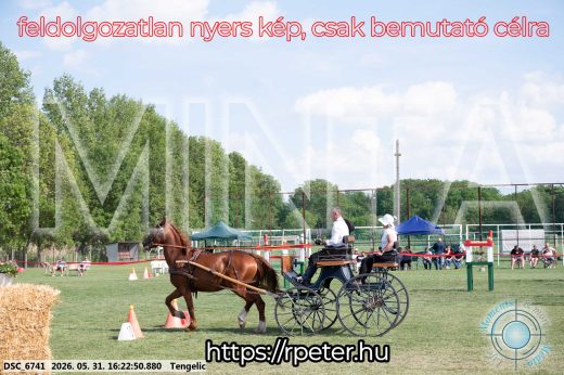 Mintakép 20260531-494