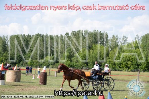 Mintakép 20260531-496