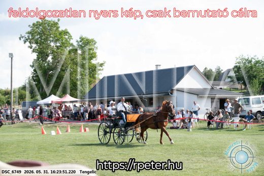 Mintakép 20260531-502
