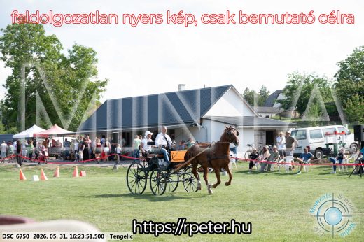 Mintakép 20260531-503