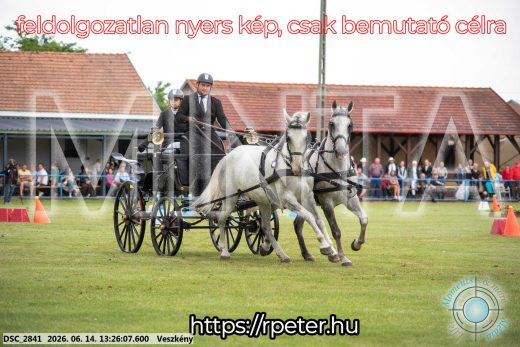 Mintakép 20260614-45