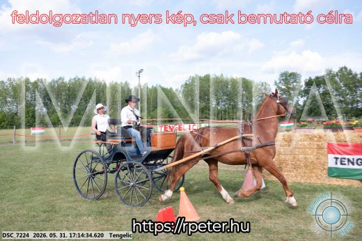 Mintakép 20260531-512