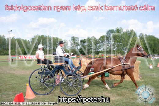 Mintakép 20260531-514