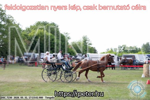 Mintakép 20260531-517