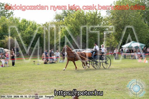 Mintakép 20260531-519