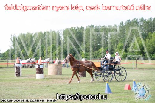Mintakép 20260531-524