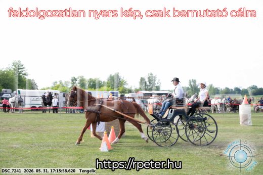 Mintakép 20260531-526