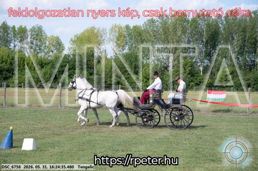 Mintakép 20260531-537