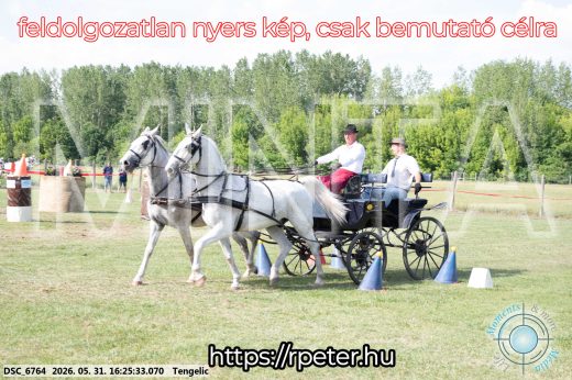 Mintakép 20260531-542