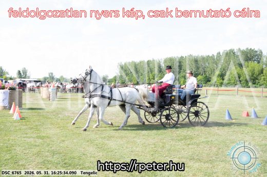 Mintakép 20260531-543