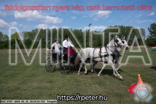 Mintakép 20260531-545