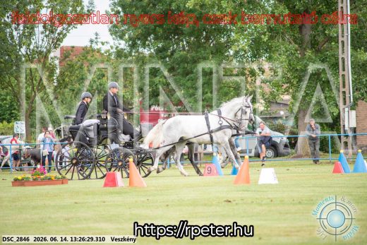 Mintakép 20260614-50
