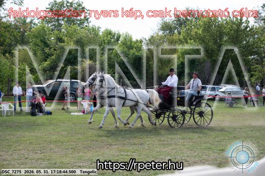 Mintakép 20260531-569